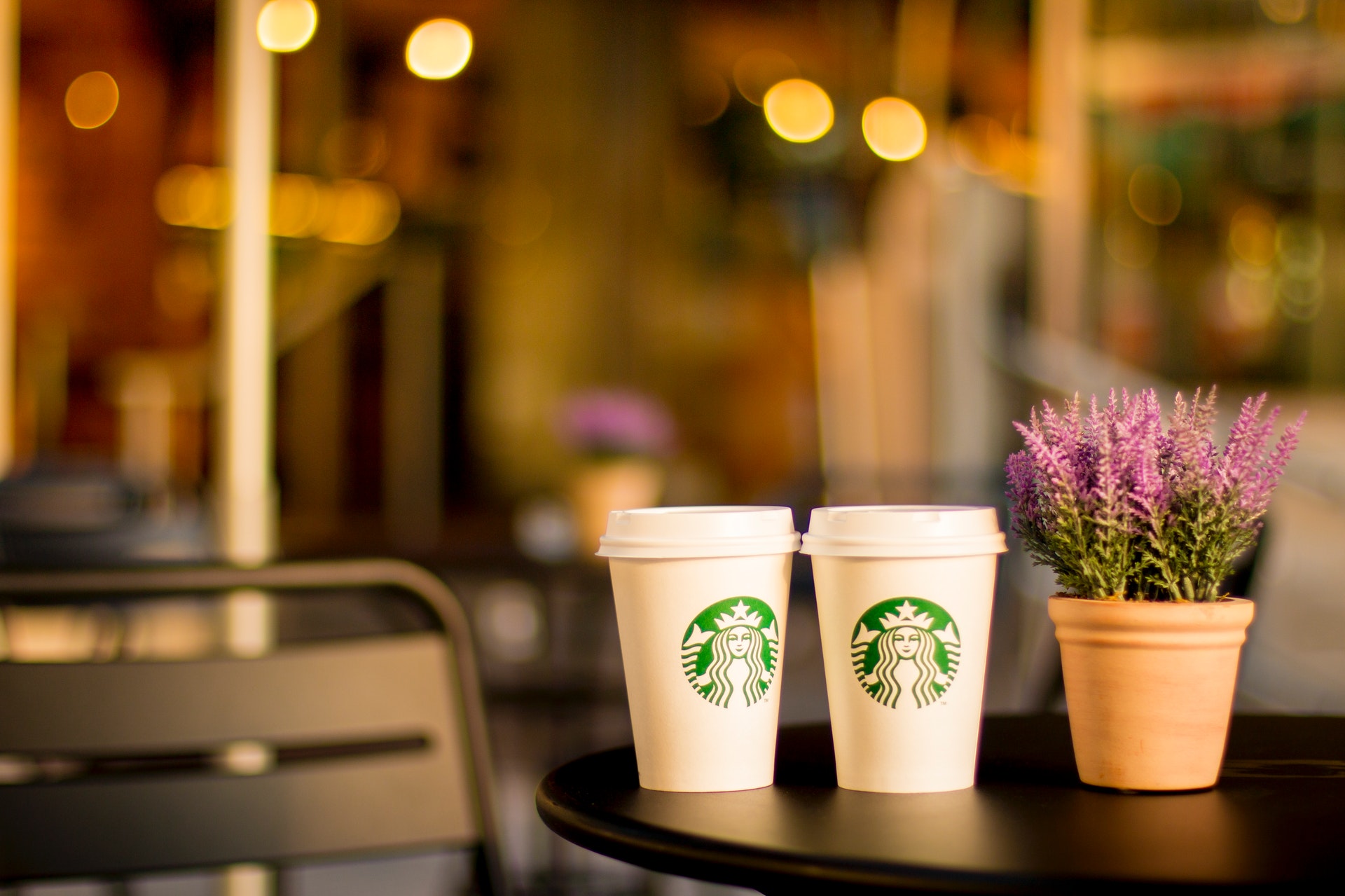 starbucks-loyalty-program-brand-advocacy